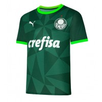 Palmeiras Hjemmedrakt 2023-24 Kortermet